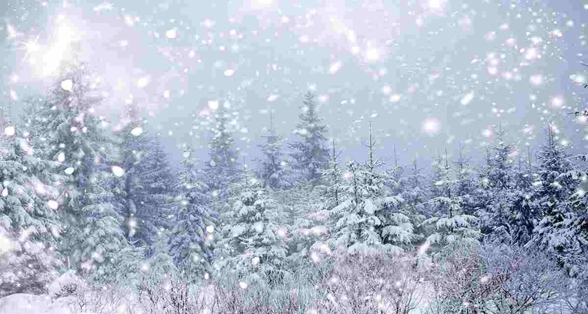 Jenis Salju Dan Karakteristiknya Di Berbagai Wilayah Dunia