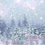 Jenis Salju Dan Karakteristiknya Di Berbagai Wilayah Dunia