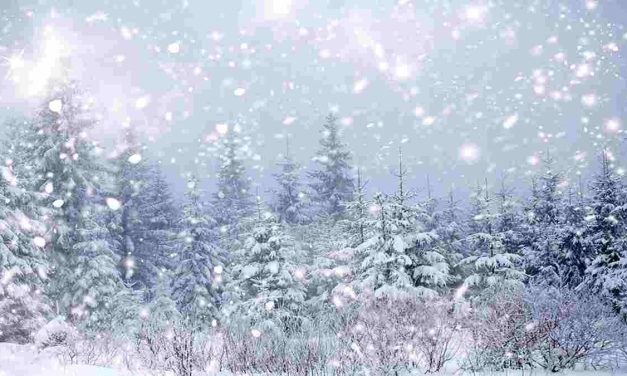 Jenis Salju Dan Karakteristiknya Di Berbagai Wilayah Dunia