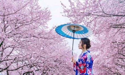 Jepang: Negeri Sakura Dengan Budaya Yang Memikat Dunia