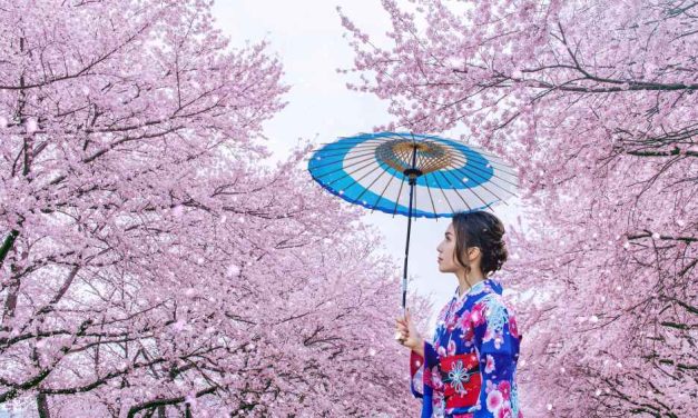 Jepang: Negeri Sakura Dengan Budaya Yang Memikat Dunia
