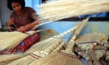 Peran Sapu Ijuk Dalam Kehidupan Rumah Tangga Di Indonesia