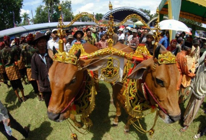 Tradisi Idul Adha Di Berbagai Daerah Indonesia Yang Unik
