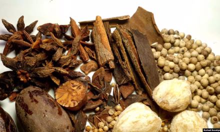 Aneka Rempah Nusantara Dan Perannya Masakan Tradisional