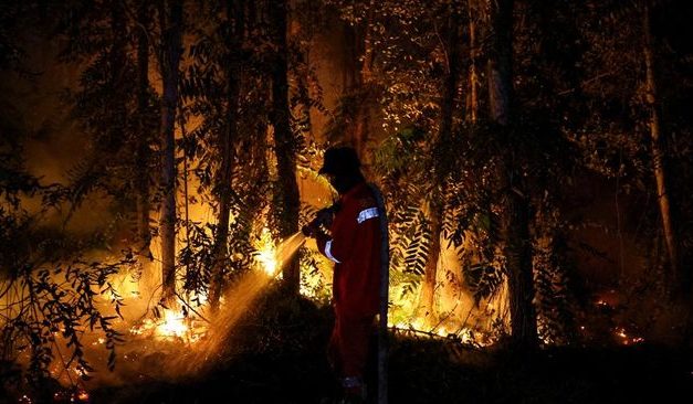 Kebakaran Hutan Kalimantan: Penyebab, Dan Penanganannya