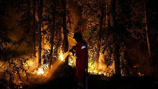 Kebakaran Hutan Kalimantan: Penyebab, Dan Penanganannya