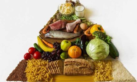 Makanan Dan Sayuran: Kombinasi Untuk Pola Makan Seimbang