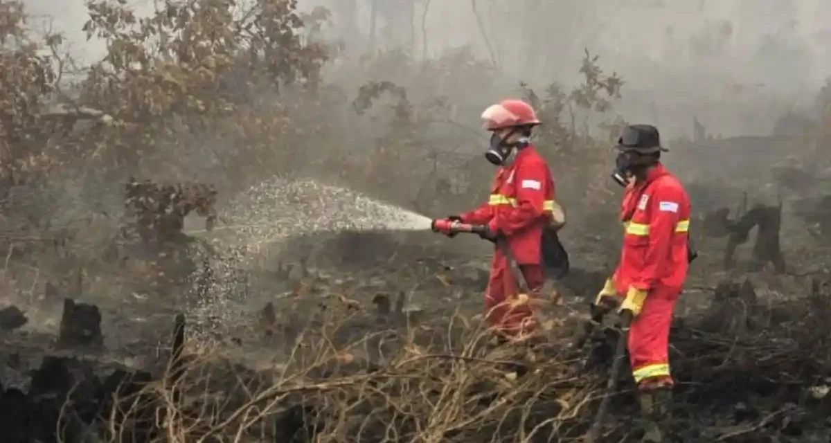 Negara Tetangga Kirim Pesawat Pemadam Kebakaran Kalimantan