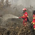 Negara Tetangga Kirim Pesawat Pemadam Kebakaran Kalimantan