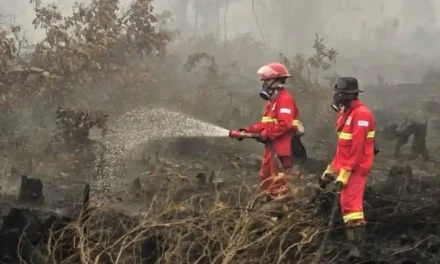 Negara Tetangga Kirim Pesawat Pemadam Kebakaran Kalimantan