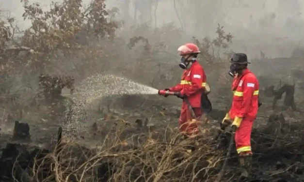 Negara Tetangga Kirim Pesawat Pemadam Kebakaran Kalimantan