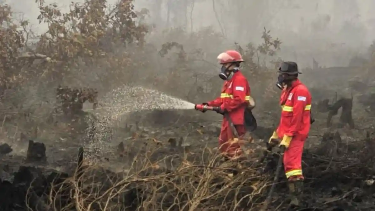 Negara Tetangga Kirim Pesawat Pemadam Kebakaran Kalimantan