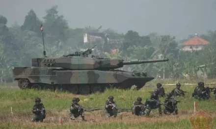 TNI Indonesia: Struktur, Tugas, Dan Peran Dalam Menjaga Negara