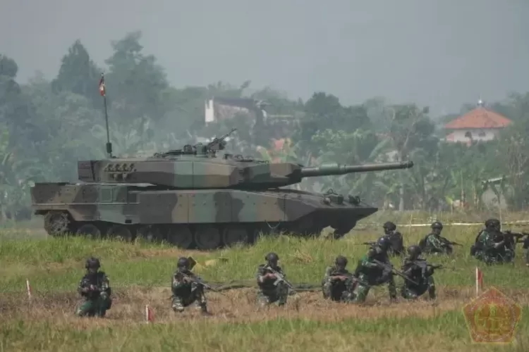 TNI Indonesia: Struktur, Tugas, Dan Peran Dalam Menjaga Negara